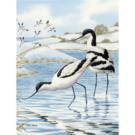 Carolines Treasures Avocets Flag Canvas House Size ASA2056CHF